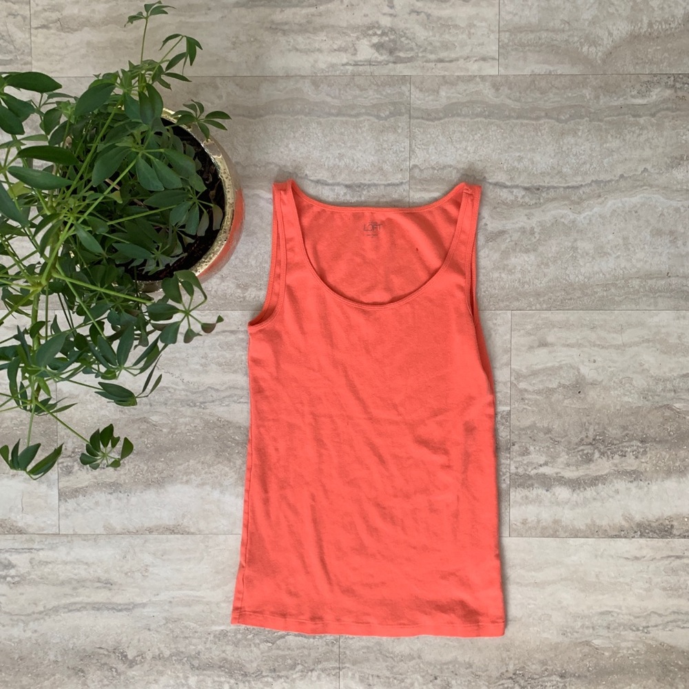 LOFT Coral Tank